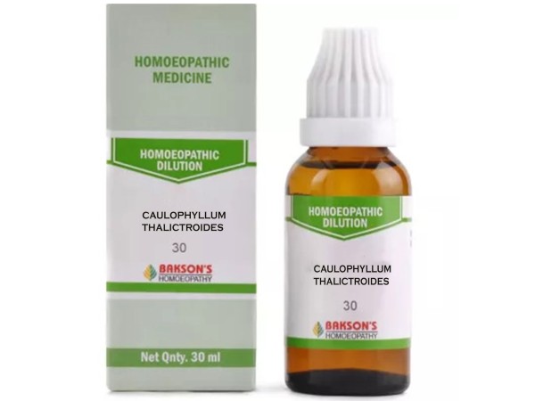 Caulophyllum Thalictroides